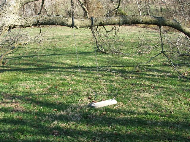 Hackberry 2008, Take Three