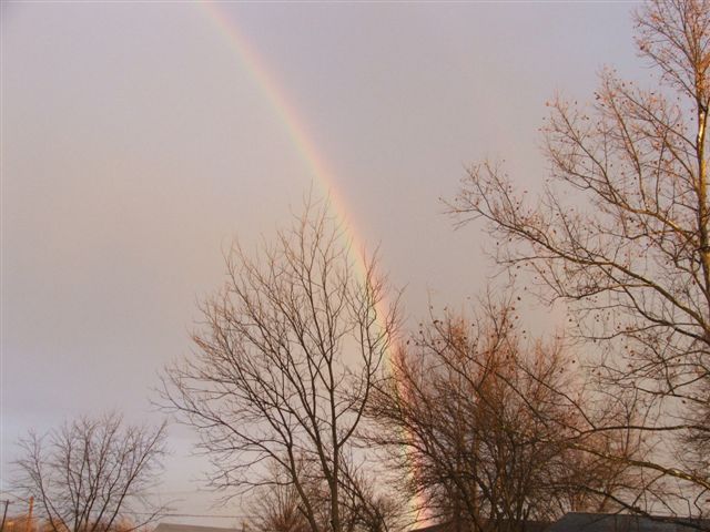 Rainbow, 2008