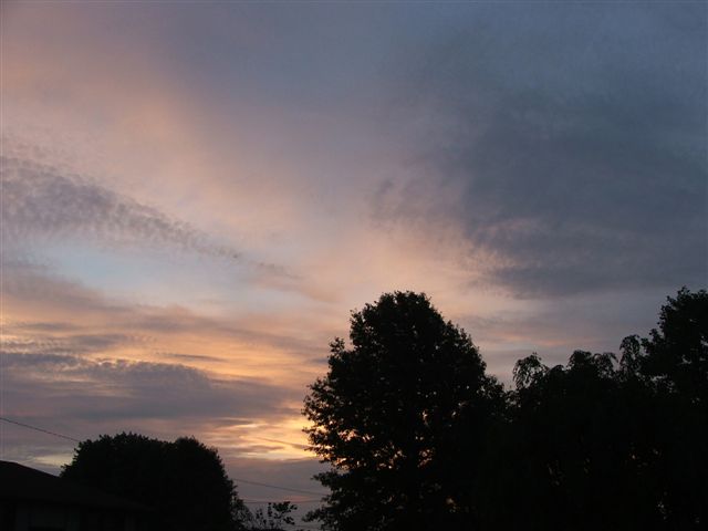 Sunrise, 2007